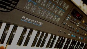 Roland E-12 (sound and styles demonstration)