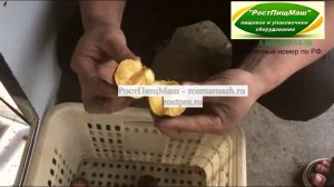 Машина удаления косточек из абрикоса, персика, сливы от РостПищМаш