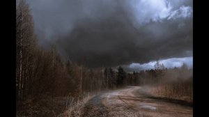 Инженер разорвал в клочья миф о солнечных панелях в Подмосковье