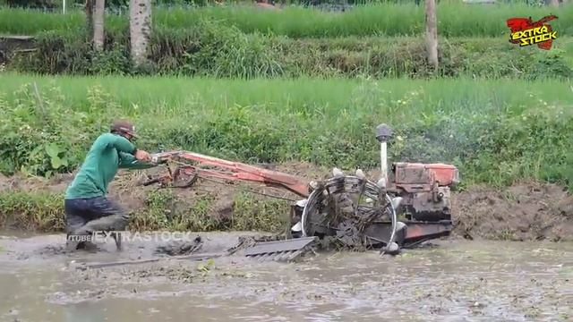 Lumpur Dalam! Joki Muda Traktor Sawah Proses Lahan Dalam Ekstrem Sepinggang смотреть онлайн