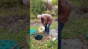 BIOFORCE Septic
