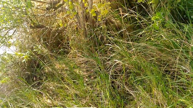 Как поддерживают чистоту в Европе смотреть онлайн