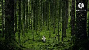 Alone with Nature | Nature Ambient Relaxation Music | Sleeping Music | Soothing Ambient Music