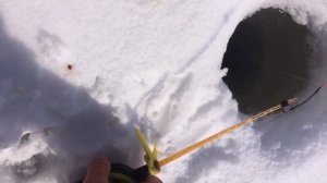 Рыбалка на косынки зимой. Хижина в лесу. Рыбалка весной на мормышку