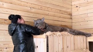 Вот как можно его не любить Наша сладкая булочка ❤️