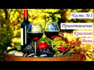 Приготовление Вина из темных сортов винограда. Часть №1
