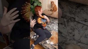 Старая басня на новый лад." Ворона и Лисица "