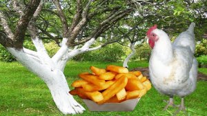 Побелка Деревьев и Курица с Картошкой