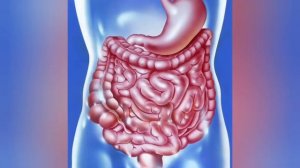 Лебеда польза и вред