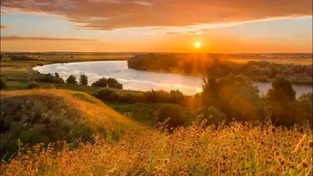 Больной Сыч ни с кем не разговаривал.Но однажды к соседу по палате пришла посетительница. Сыч побел смотреть онлайн