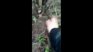 Посадка томатов осенью в теплицу🌱//