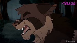 •Клип•-Коты Воители-"Девочка с Картинки"|Рыжинка|√Black Cat√