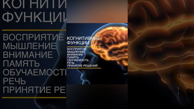 Когнитивные функции  #невролог #когнитивныефункции #мозг