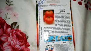 Томат "ДАННА". Мои ЛЮБИМЫЕ СОРТА ПОМИДОР. 21.01.2020г.