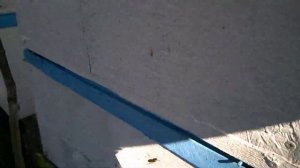 В сентябре осы нижний вход в улей атакуют