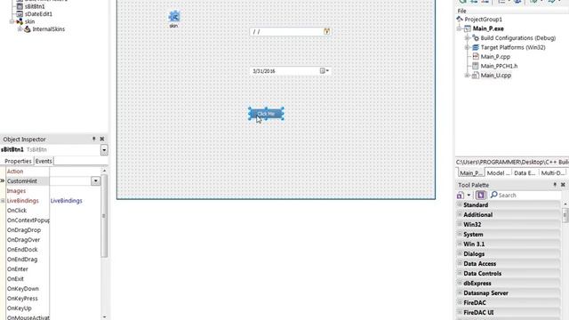 vcl c++ software development tutorial 3 Date time picker,checkbox,radiobutton