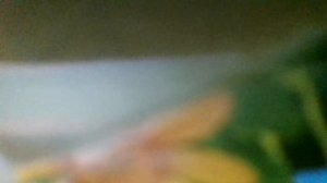 Какой чудесный день!Какой чудесный пень!(Песенка мышонка)м/ф "Песенка мышонка"(наброски)