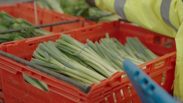 A Day In The Life Of - a vegetable packing factory смотреть онлайн