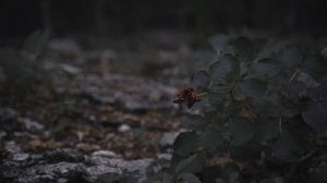 Таинственная Гора Бойка