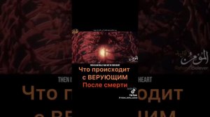 Что происходит с верующим после смерти?      Ислам ☪️