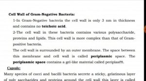 Cell wall of Bacteria.Microbiology lecture by: Dr. Abdul Manaf Alvi session 2021