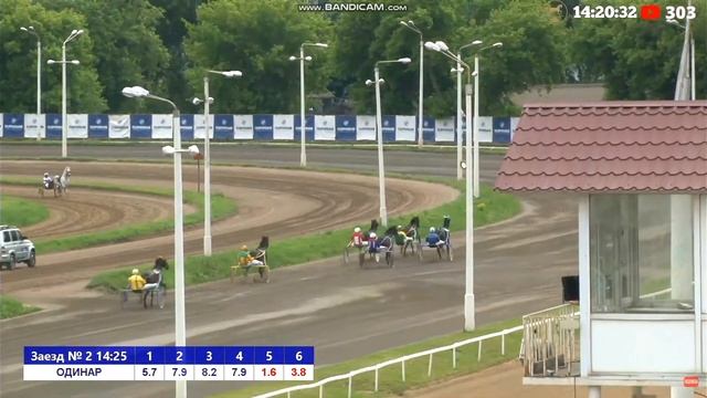 12.06.2022г Москва  Лошади 3-х лет Рысистых пород 1600м