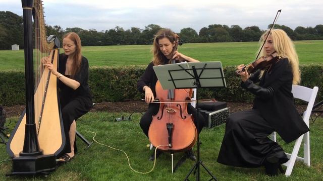 Classical Trio -- Harp Violin Cello -- Pachelbel's Canon смотреть онлайн