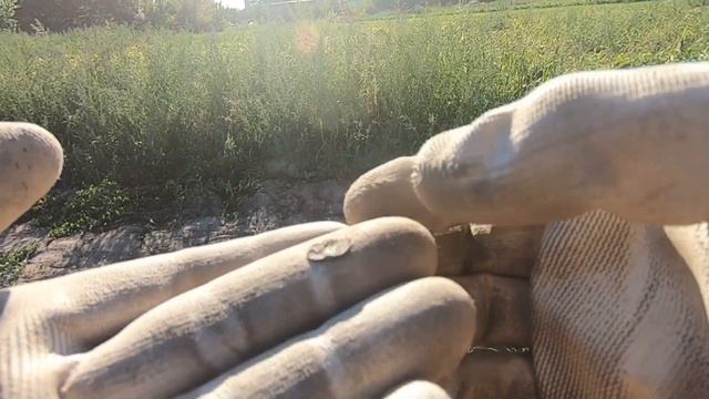 Ярмарочная площадь ! Коп с XP Deus Петро - Павловский монастырь смотреть онлайн