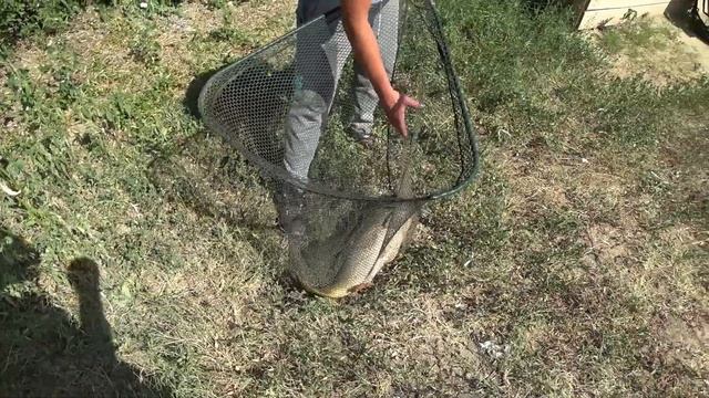 ??СУПЕР клев??рыбалка Маяки чеки?Карп??Кораблик с автопилотом GPS?Runferry? ?Черепахи??Креветки? смотреть онлайн