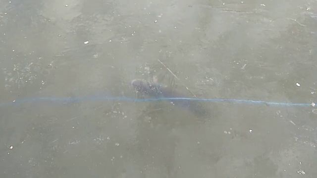 Рыбалка деревня чудиново. Нецензурная лексика смотреть онлайн