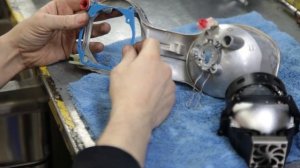 Jaguar X-Type - замена линз на светодиодные модули в ГАЛОГЕНУ NET