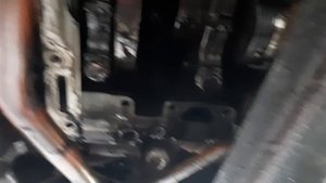 Каменс  стружка в поддоне