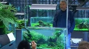 Такаси Амано, запуск, оформление аквариума / Takashi Amano, the launch and execution of the aquariu