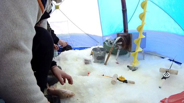 Небольшая экспедиция за крупной рыбой смотреть онлайн