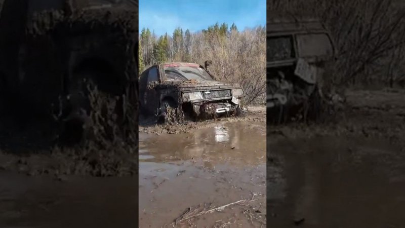 сузуки по болоту #4х4 #оффроад54 #offroad #джипы #бездорожье