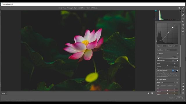 Photoshop Tutorial : FLOWER PHOTOGRAPHY EDITING EXPLAINED - Free Preset смотреть онлайн