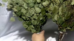 Березовый веник с душицей.