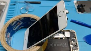 Заработала кнопка/датчик Touch ID после замены дисплея на Iphone SE