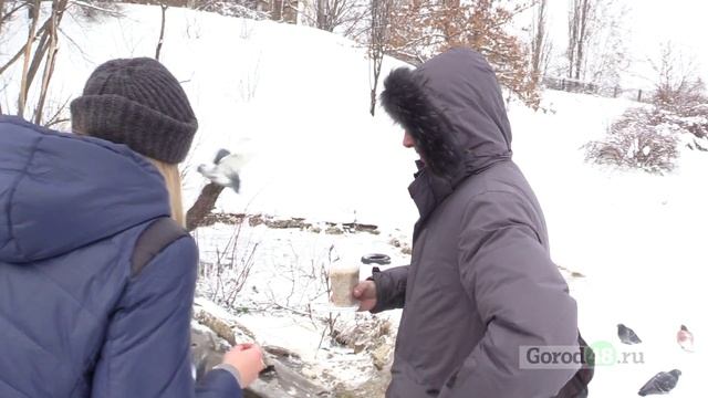 Красивый Липецк: «утиная столовая» и птичка из красной книги смотреть онлайн