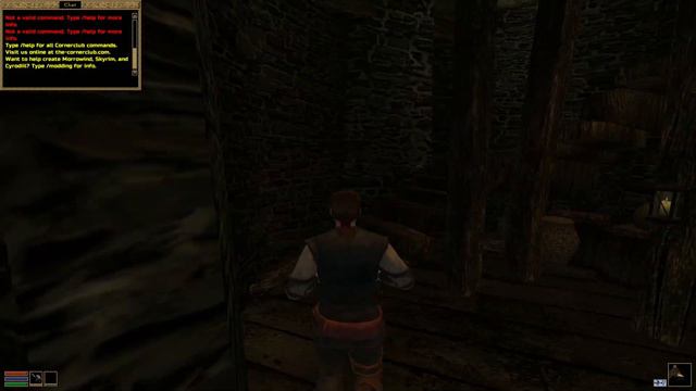 Morrowind: Tes3mp and Mods 3 смотреть онлайн