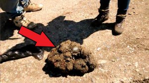 Разрезав КАМЕНЬ пополам люди удивились, когда из него потекла жидкость!