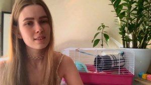 КАК НЕ НАДЕЛАТЬ ОШИБОК В ОБЩЕНИИ С КРЫСОЙ В ПЕРВЫЕ ДНИ