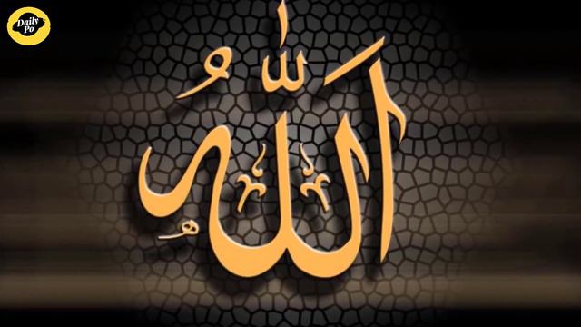 head of a man and the body of a fox Is this really a reality or a drama in Hindi/Urdu | Daily Po смотреть онлайн