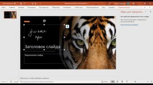 Что такое Microsoft 365? Обновление Office 2020