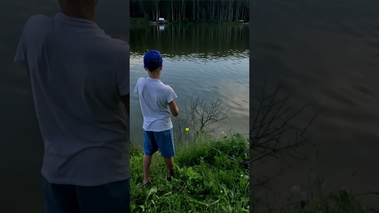 Откуда она взялась то??? #ловлятолстолобика #карповыеснасти #рыбалка #fishing #love #nature #viral