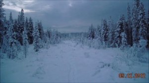 Полярная ночь. Мончегорск. Кольский полуостров. 02.01.24.