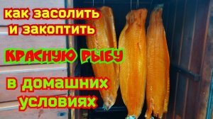 Лосось холодного копчения в домашних условиях.Рецепт как засолить красную рыбу форель, горбушу,кижуч