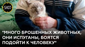 Зоозащитники спасают животных, брошенных в Мариуполе и Волновахе.