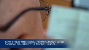 ГОСУДАРСТВЕННЫЕ УСЛУГИ, КОТОРЫЕ ОКАЗЫВАЕТ КГУ «ОТДЕЛ ВЕТЕРИНАРИИ АКИМАТА Г.ПЕТРОПАВЛОВСКА»: