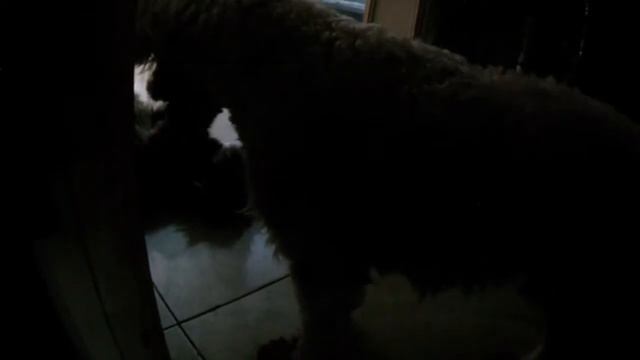 Mcdull asking for XXX with Mui Mui in a "gangnam style" смотреть онлайн